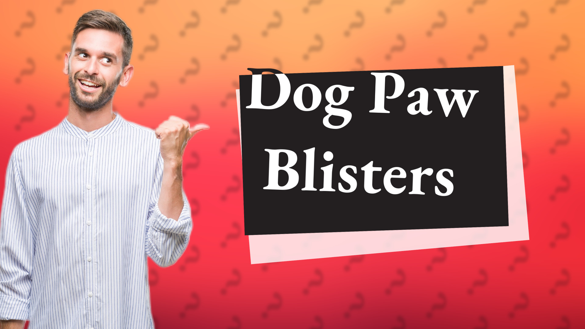 Dog Paw Blisters