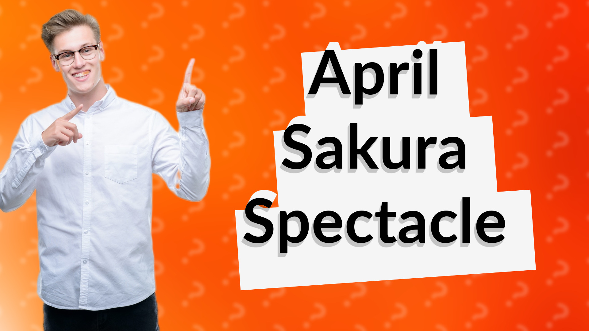 April Sakura Spectacle