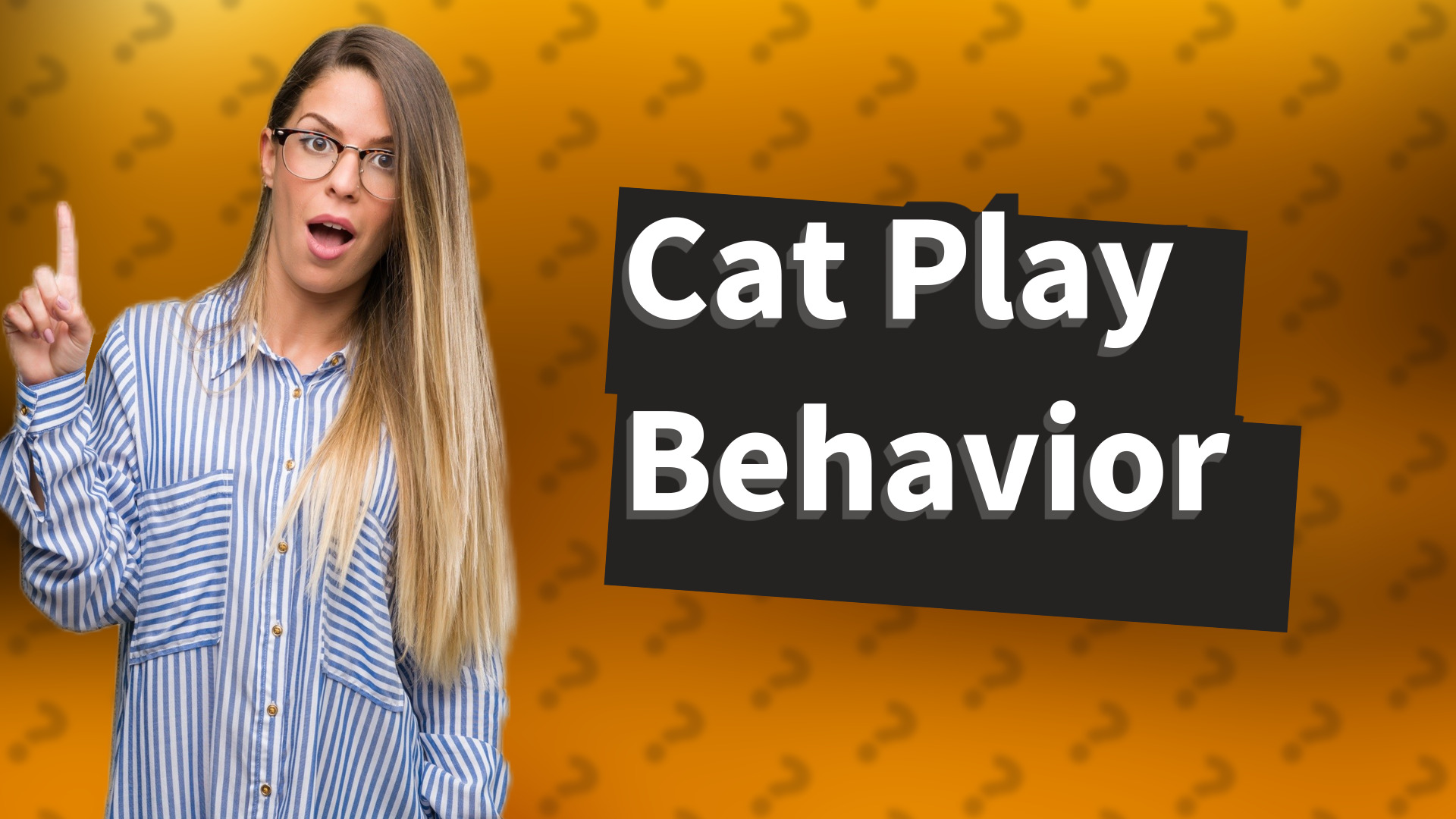 Cat Play Behavior