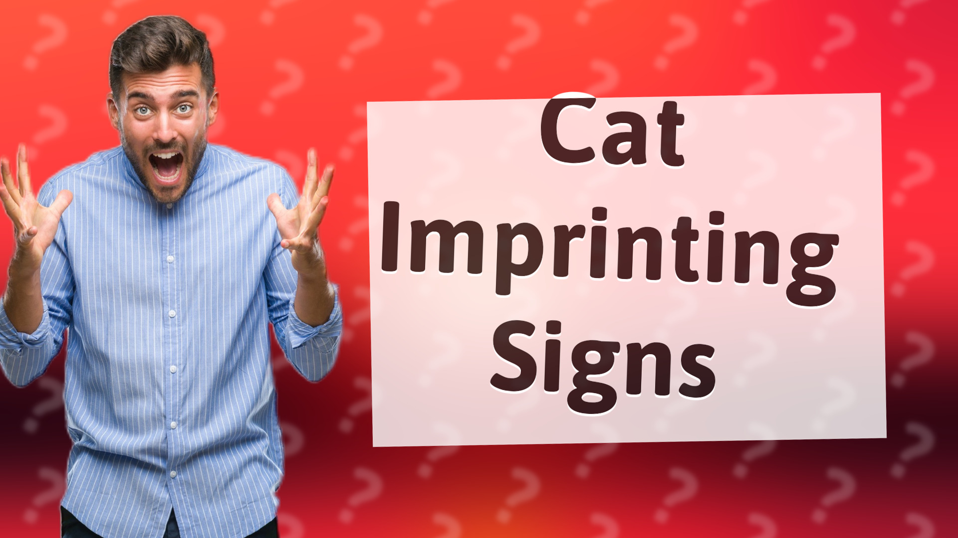 Cat Imprinting Signs
