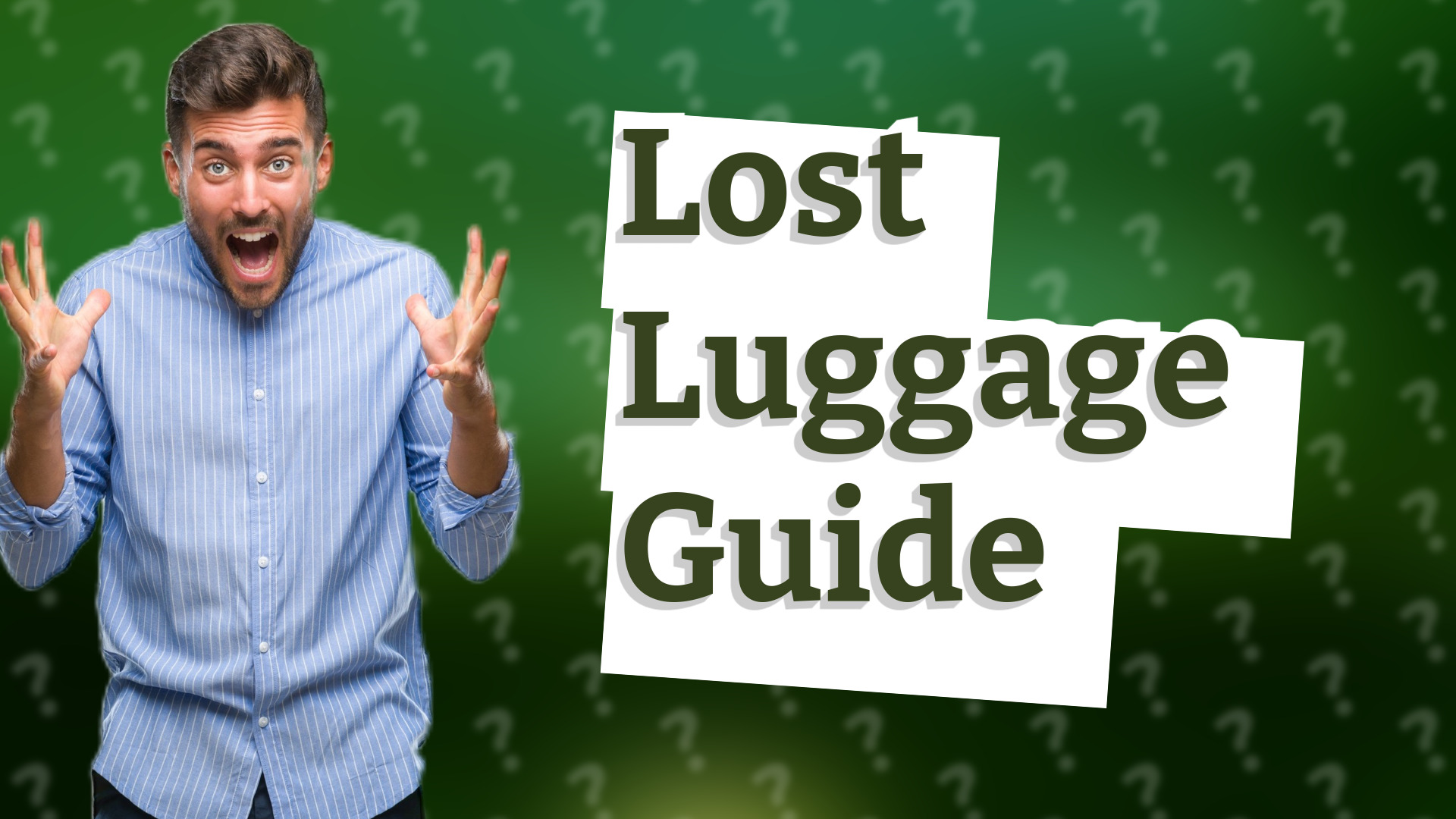 Lost Luggage Guide