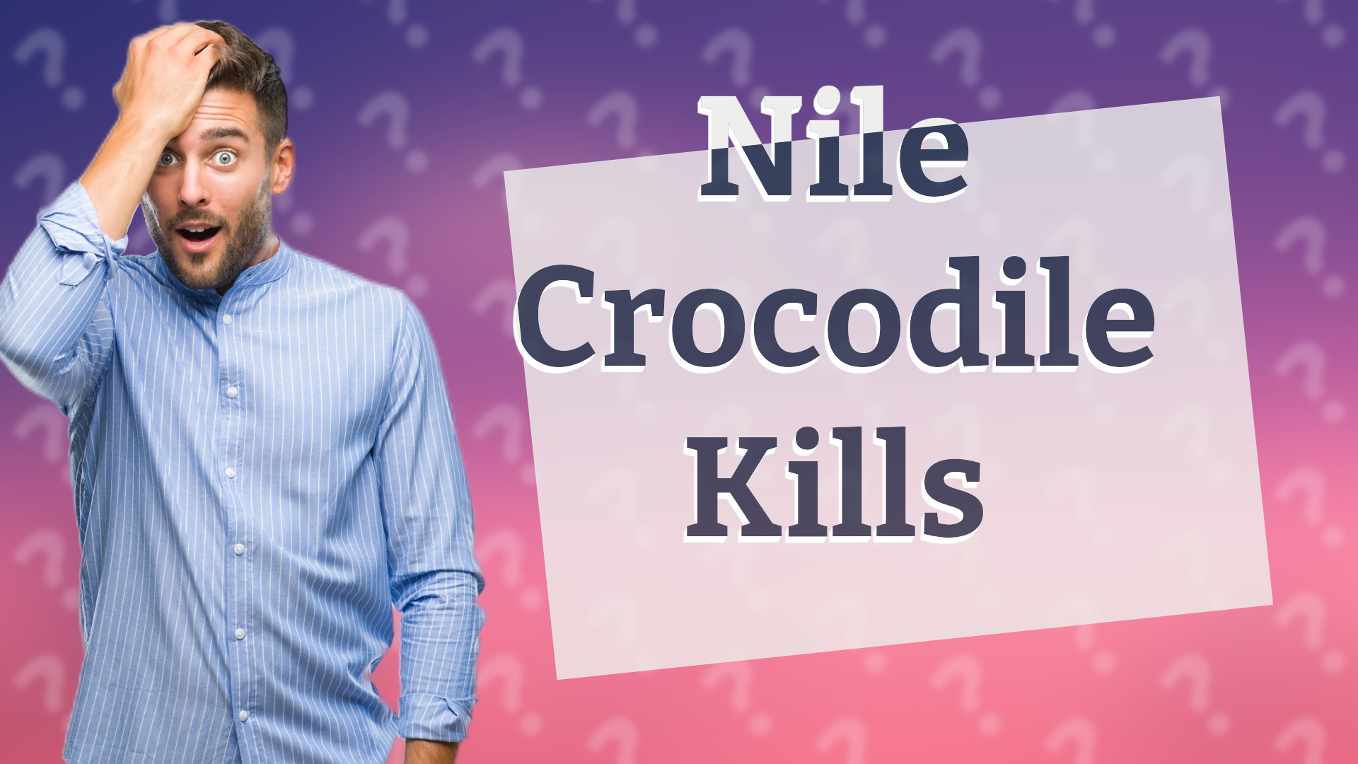 Nile Crocodile Kills