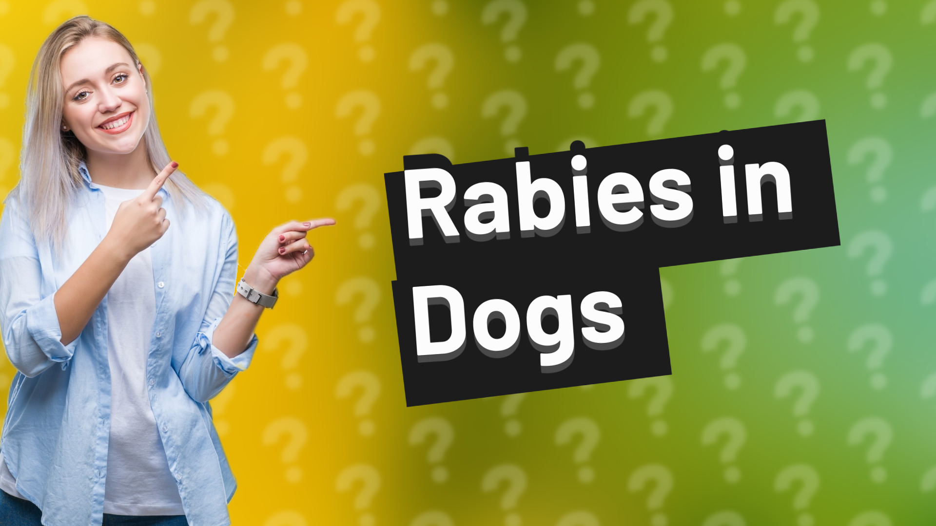 Rabies in Dogs