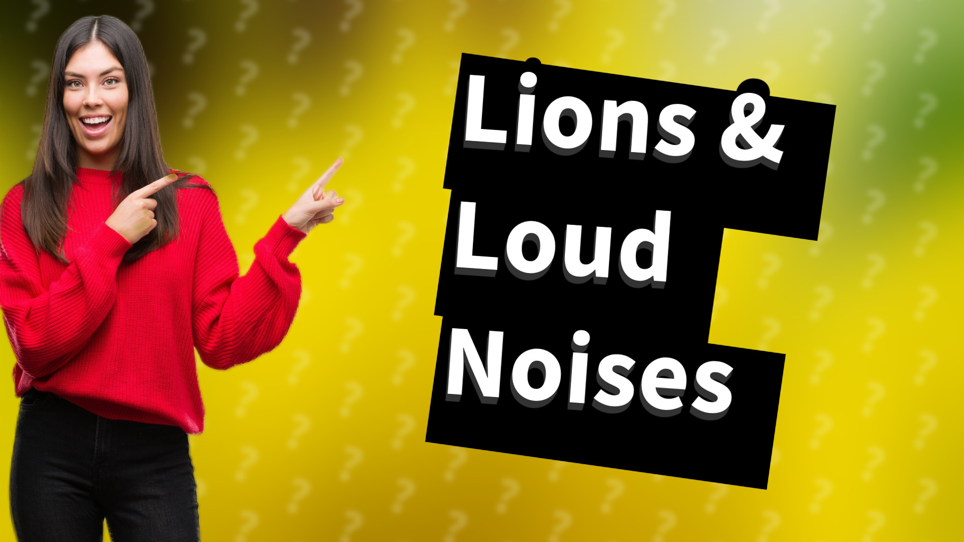 Lions & Loud Noises