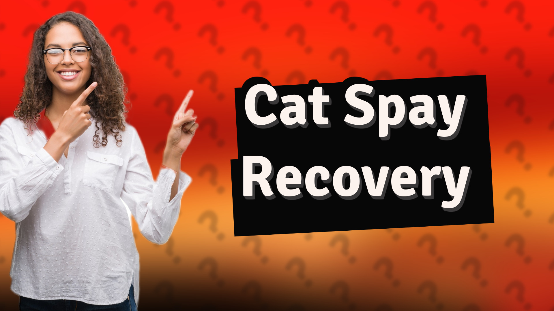 Cat Spay Recovery