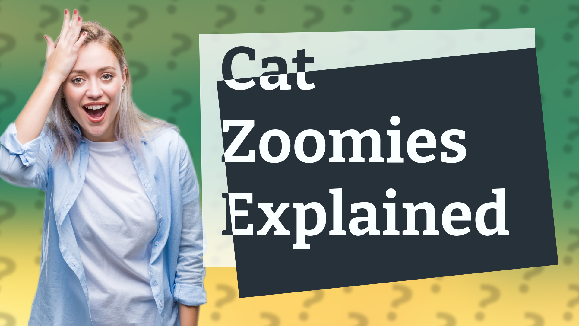 Cat Zoomies Explained