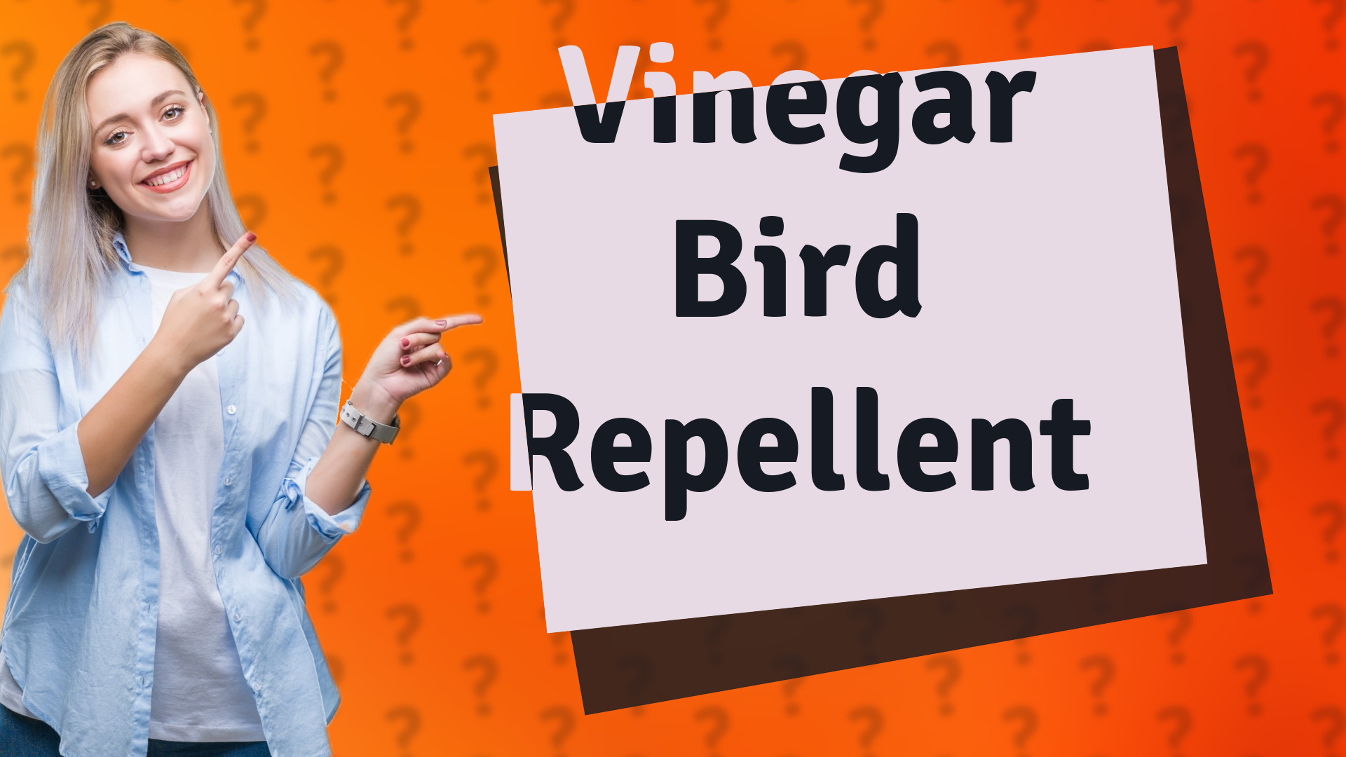 Vinegar Bird Repellent