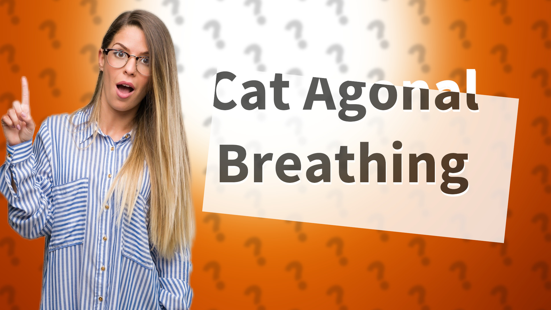 Cat Agonal Breathing