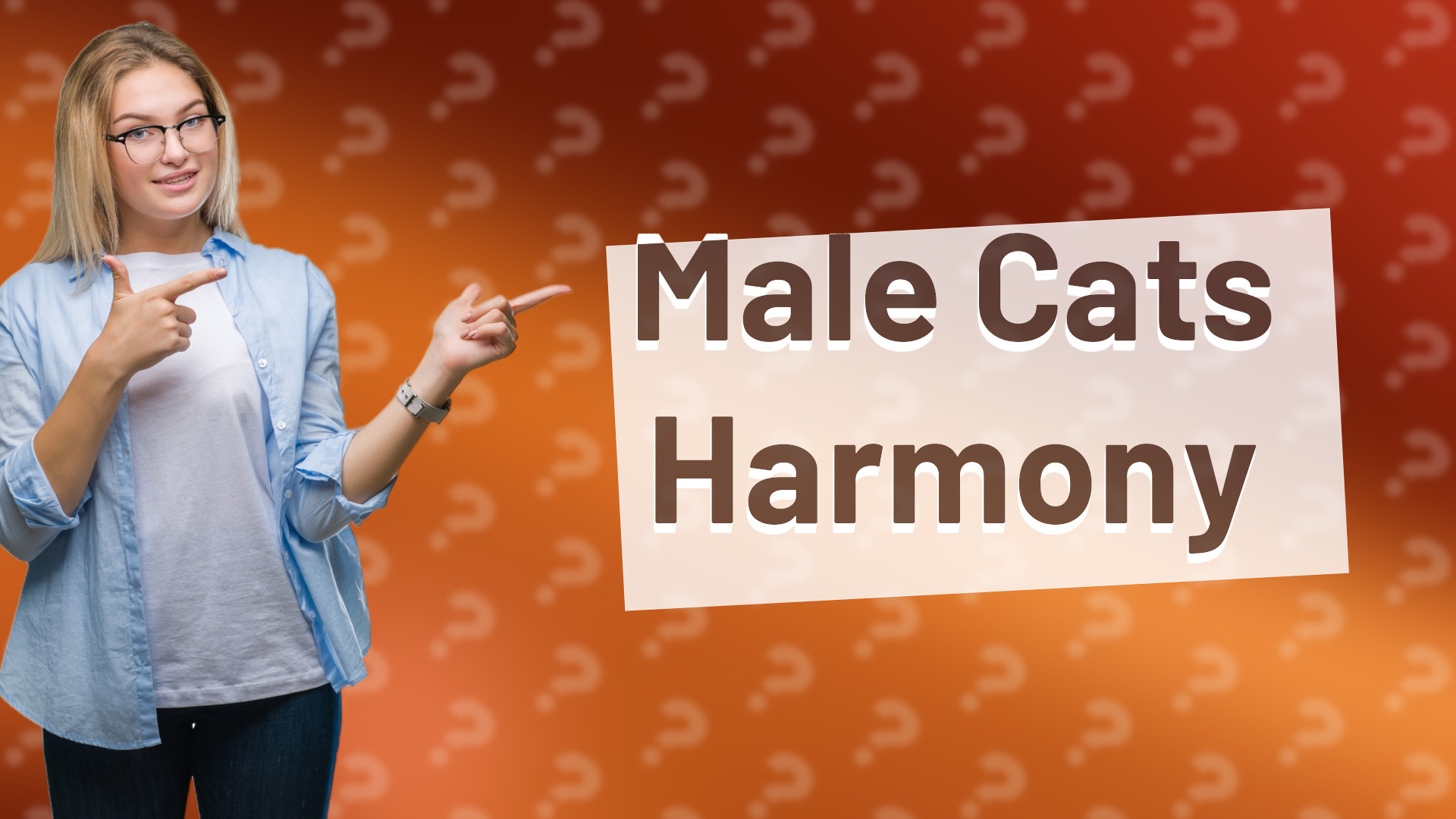 Male Cats Harmony