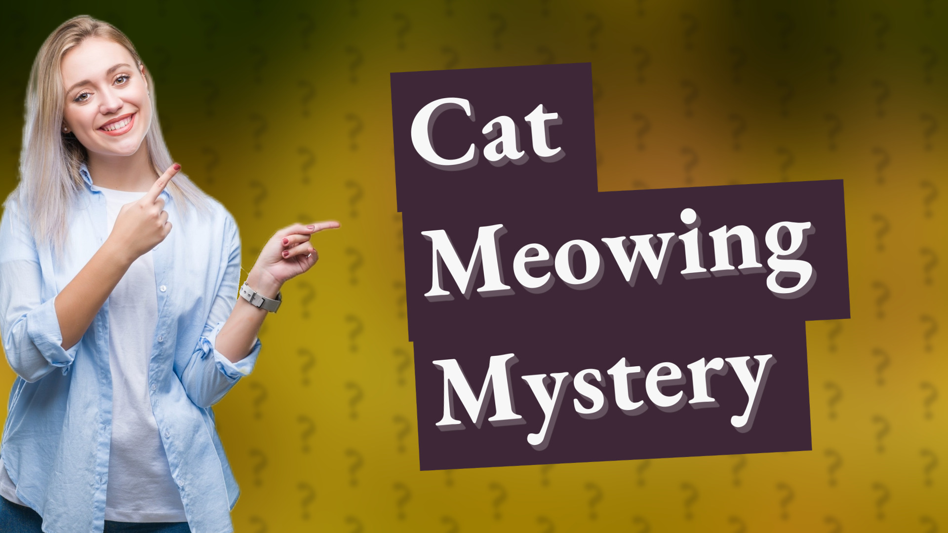 Cat Meowing Mystery