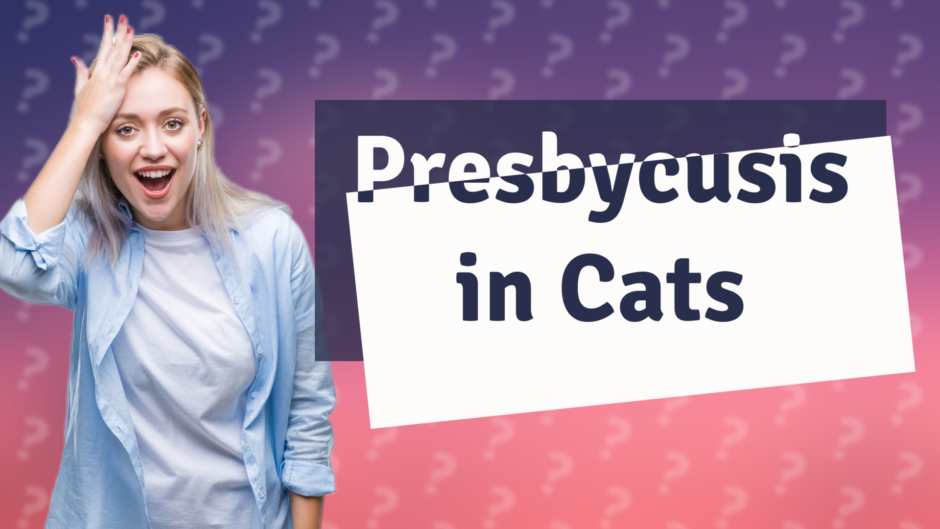 Presbycusis in Cats