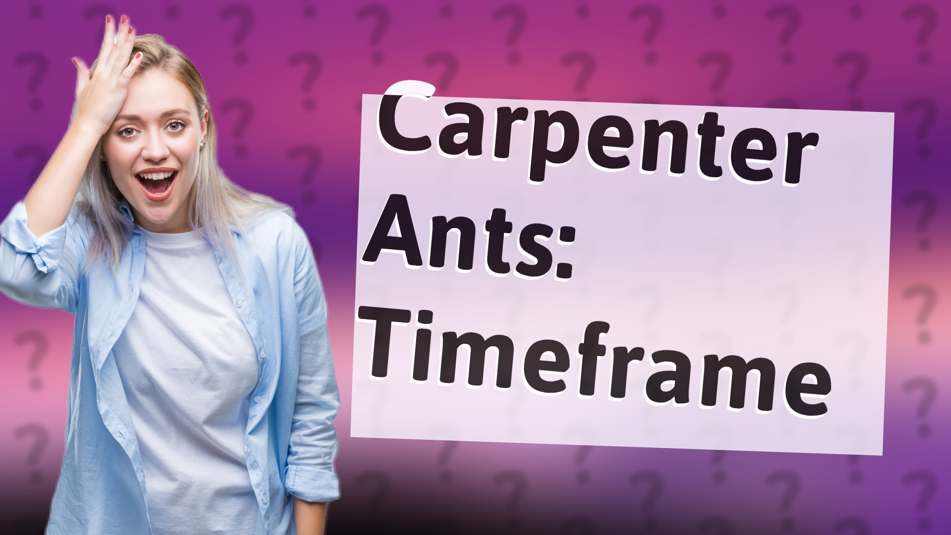 Carpenter Ants: Timeframe