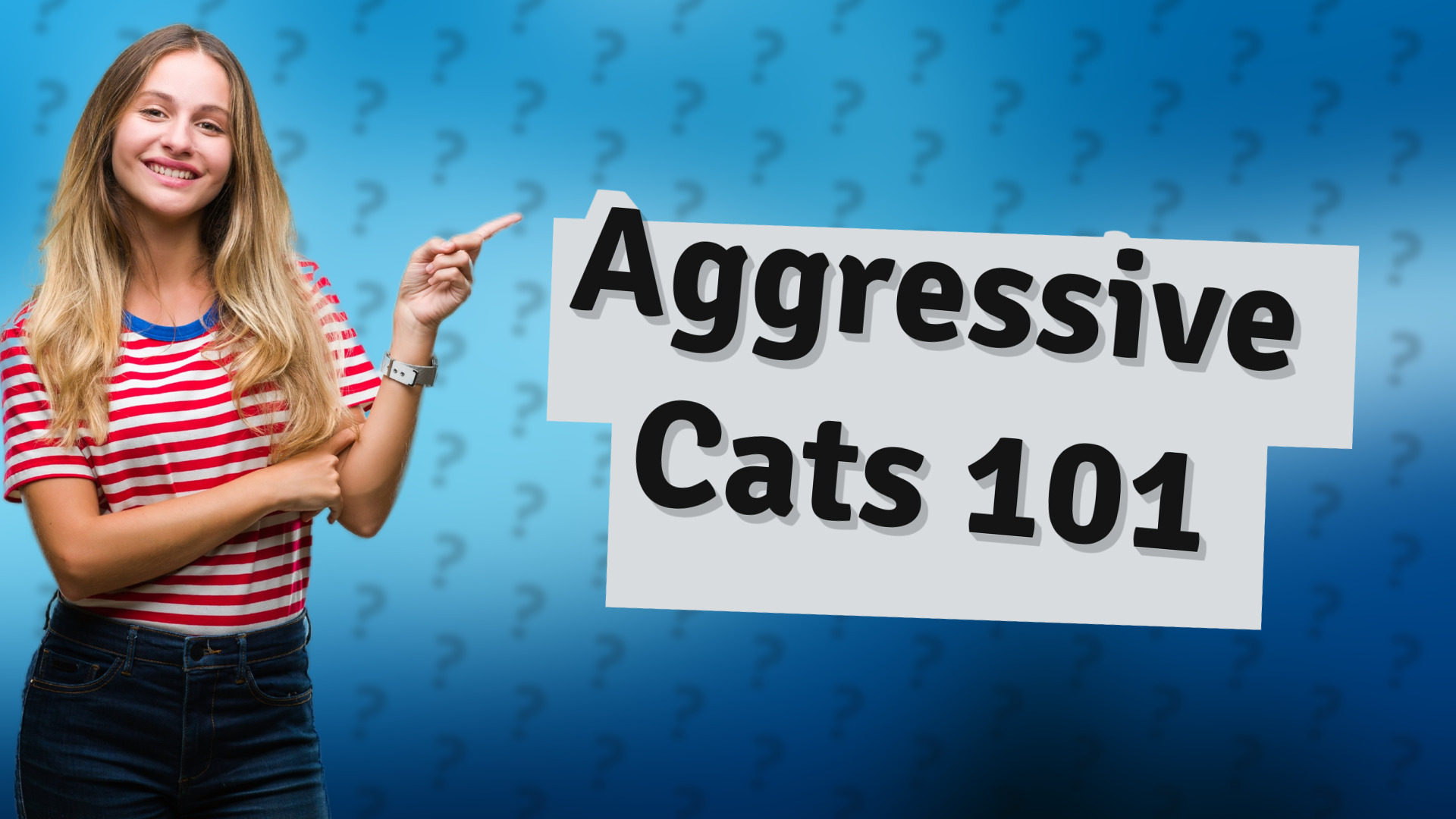 Aggressive Cats 101