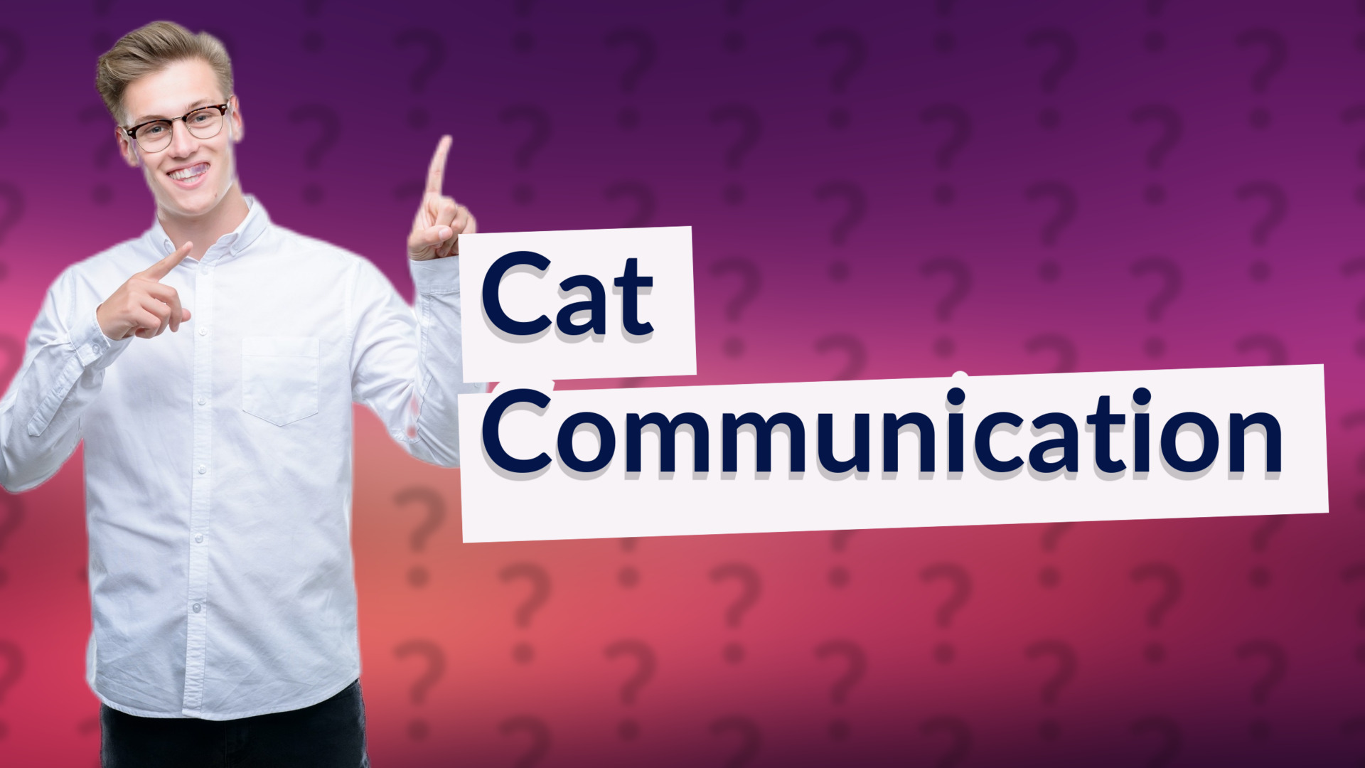 Cat Communication