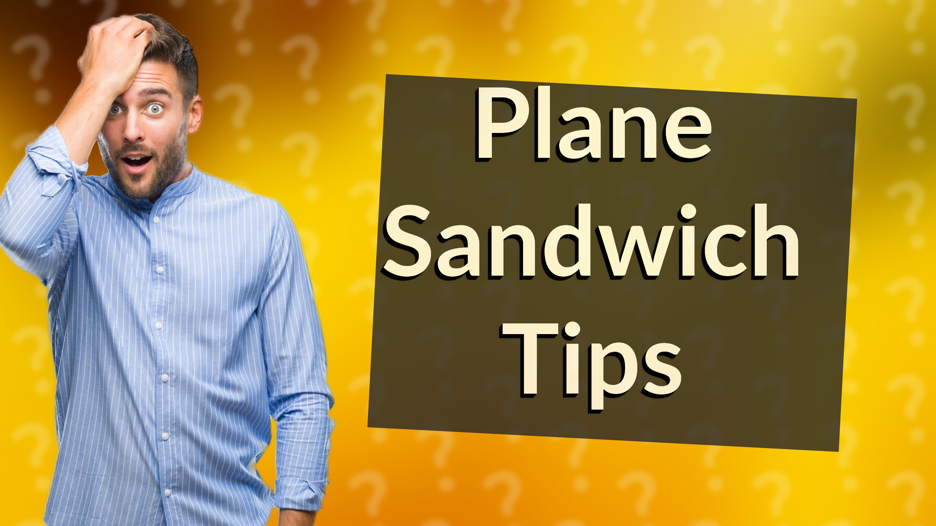 Plane Sandwich Tips