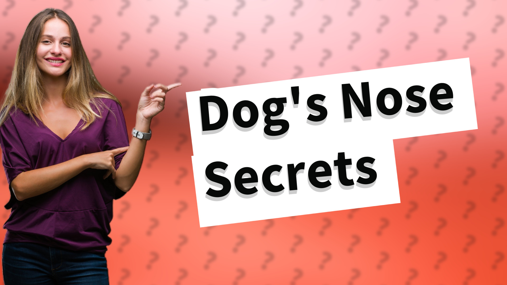 Dog's Nose Secrets