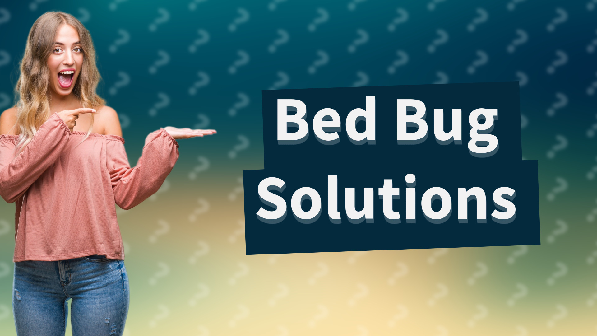 Bed Bug Solutions