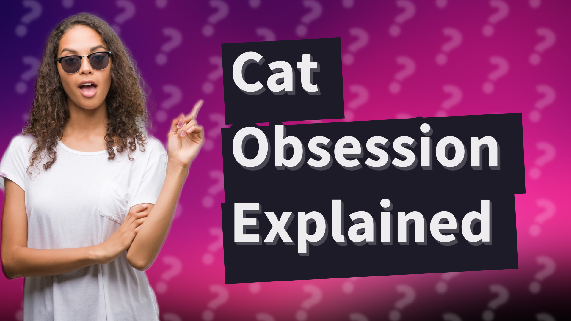 Cat Obsession Explained