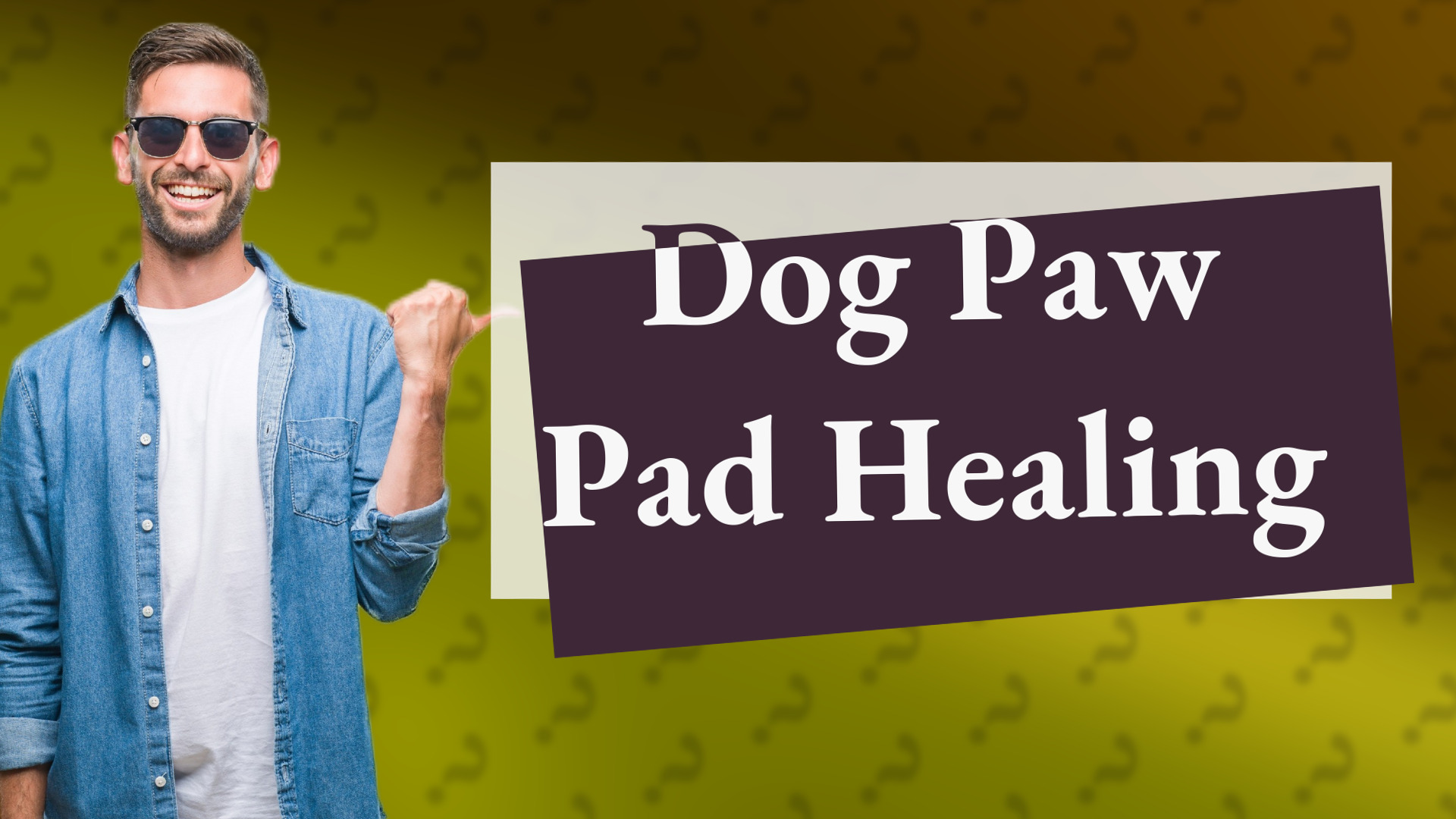 Dog Paw Pad Healing