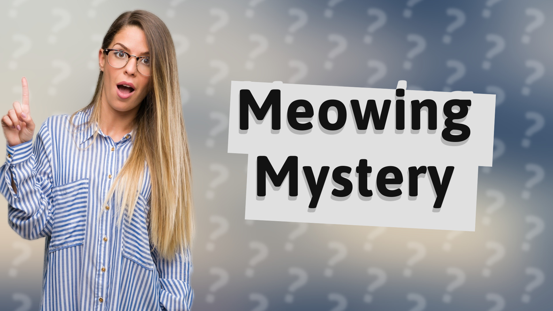 Meowing Mystery