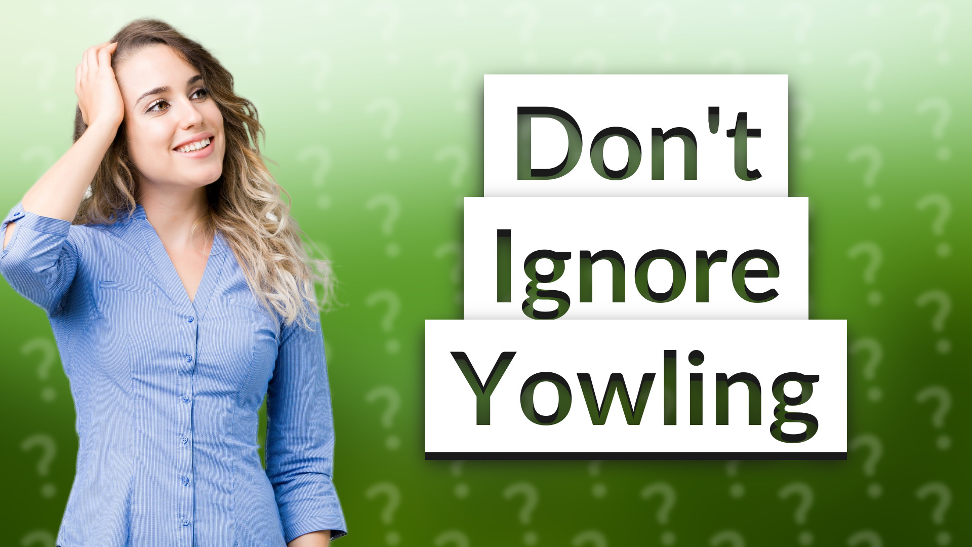 Don't Ignore Yowling