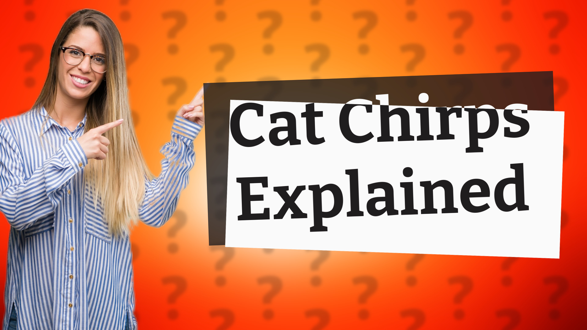 Cat Chirps Explained