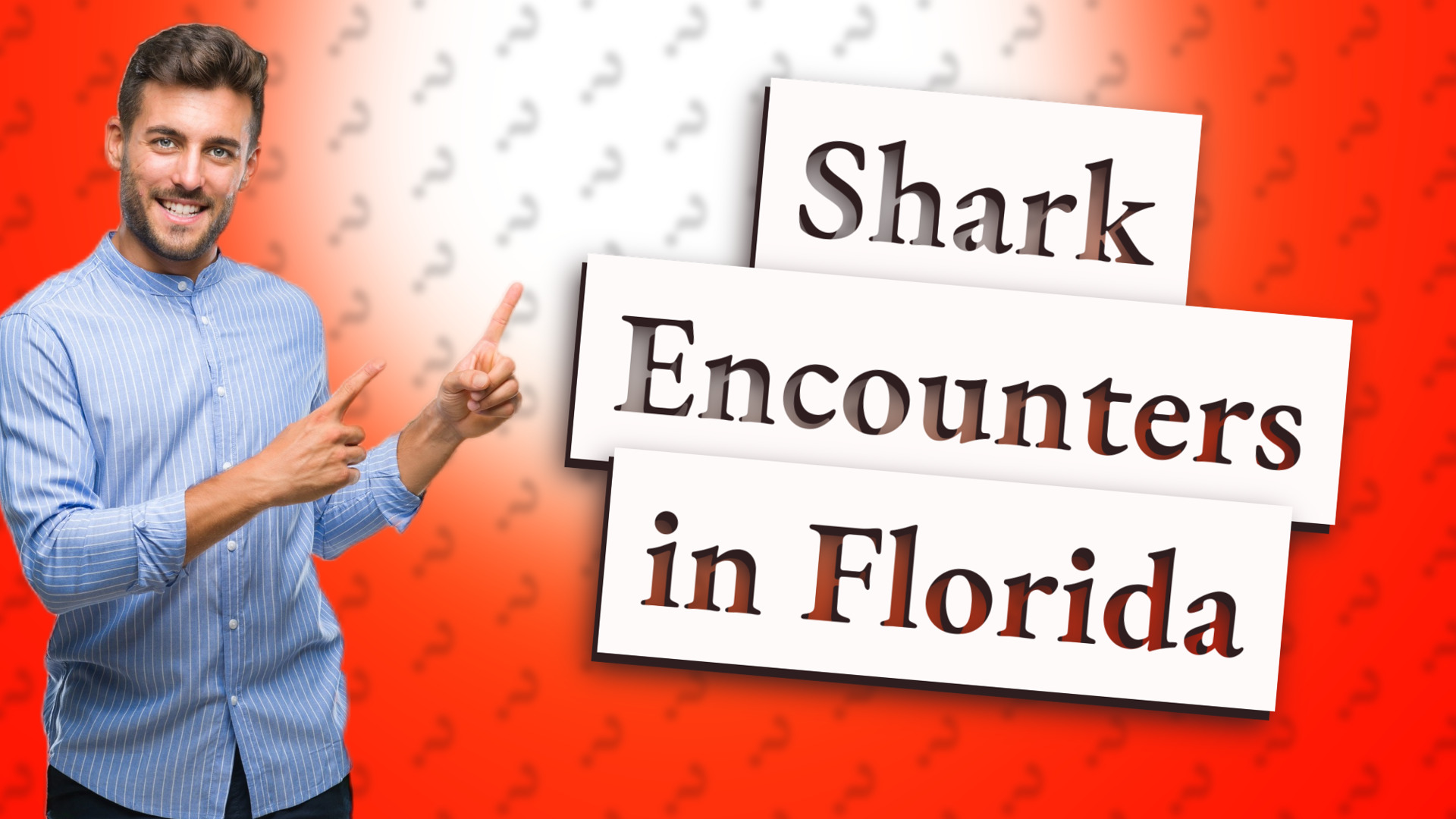 Shark Encounters in Florida
