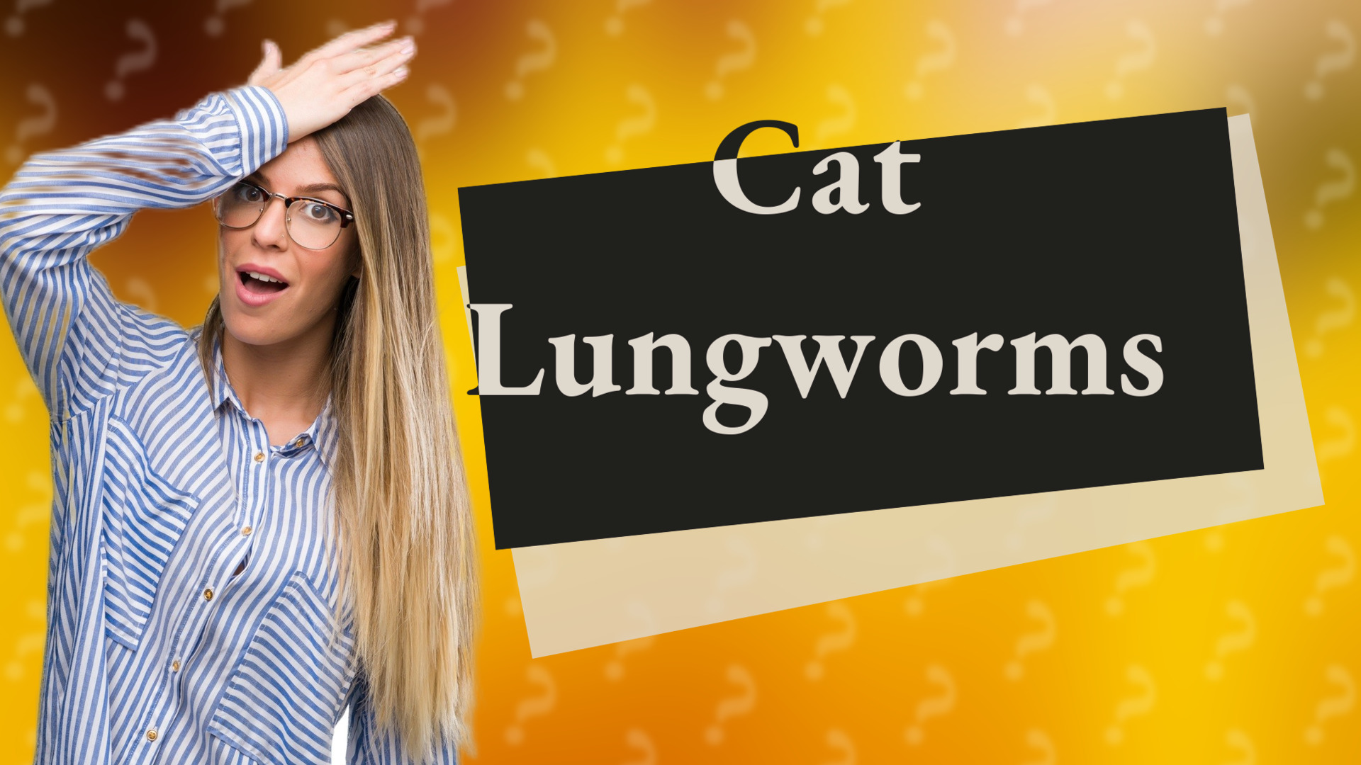 Cat Lungworms