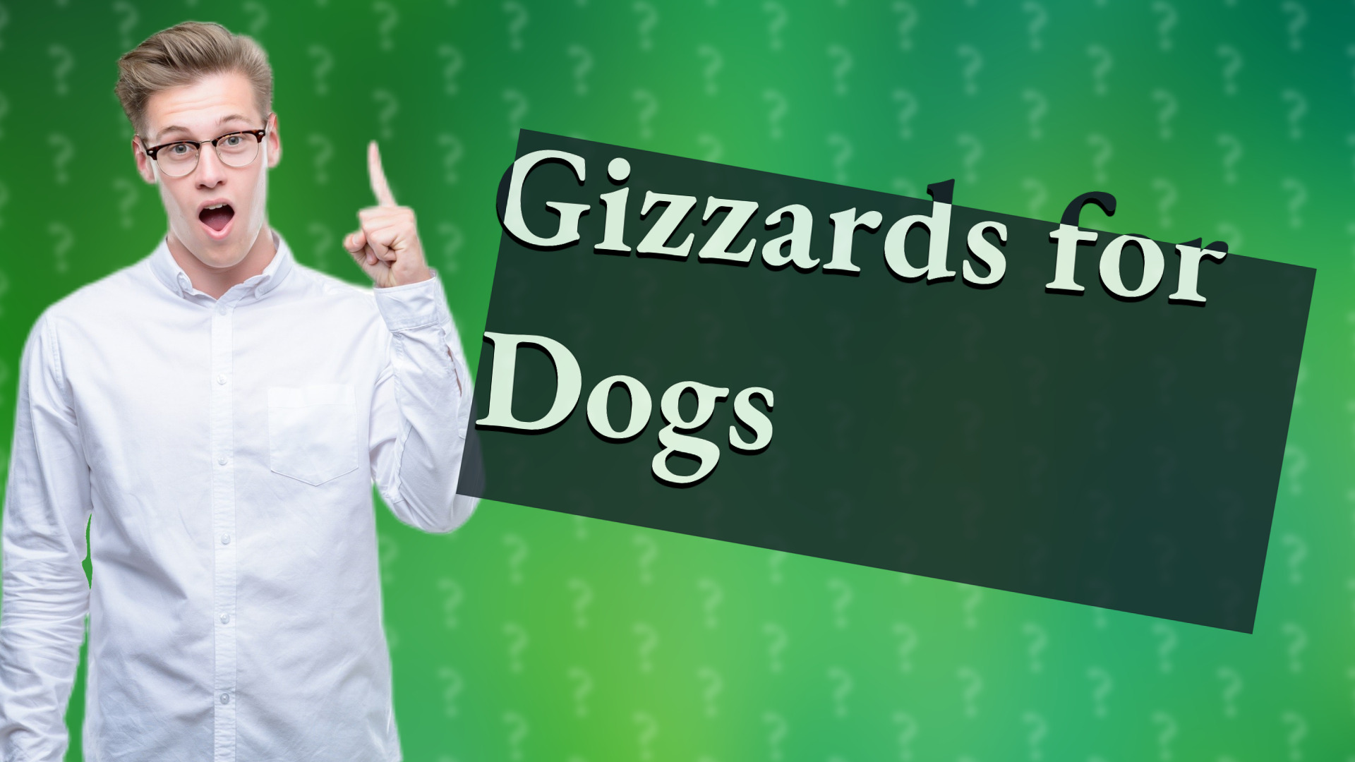Gizzards for Dogs
