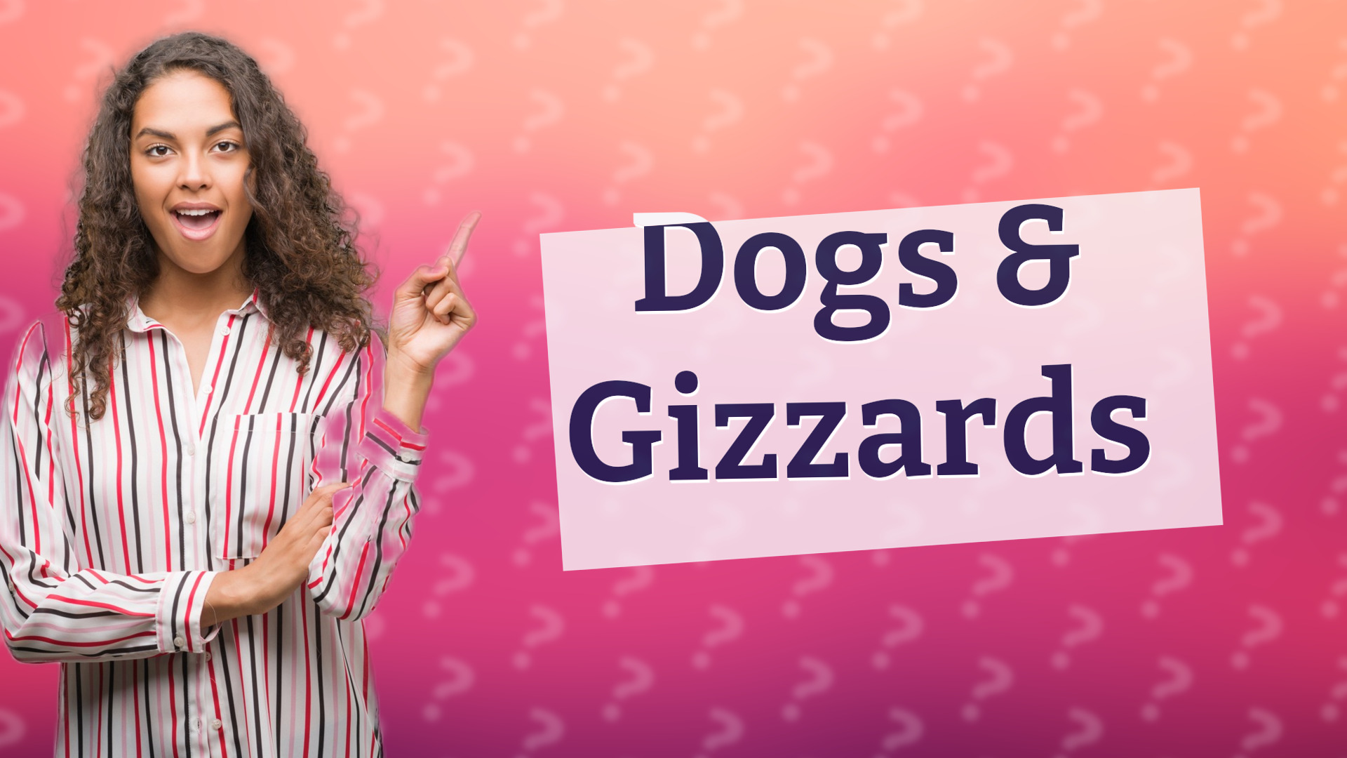 Dogs & Gizzards