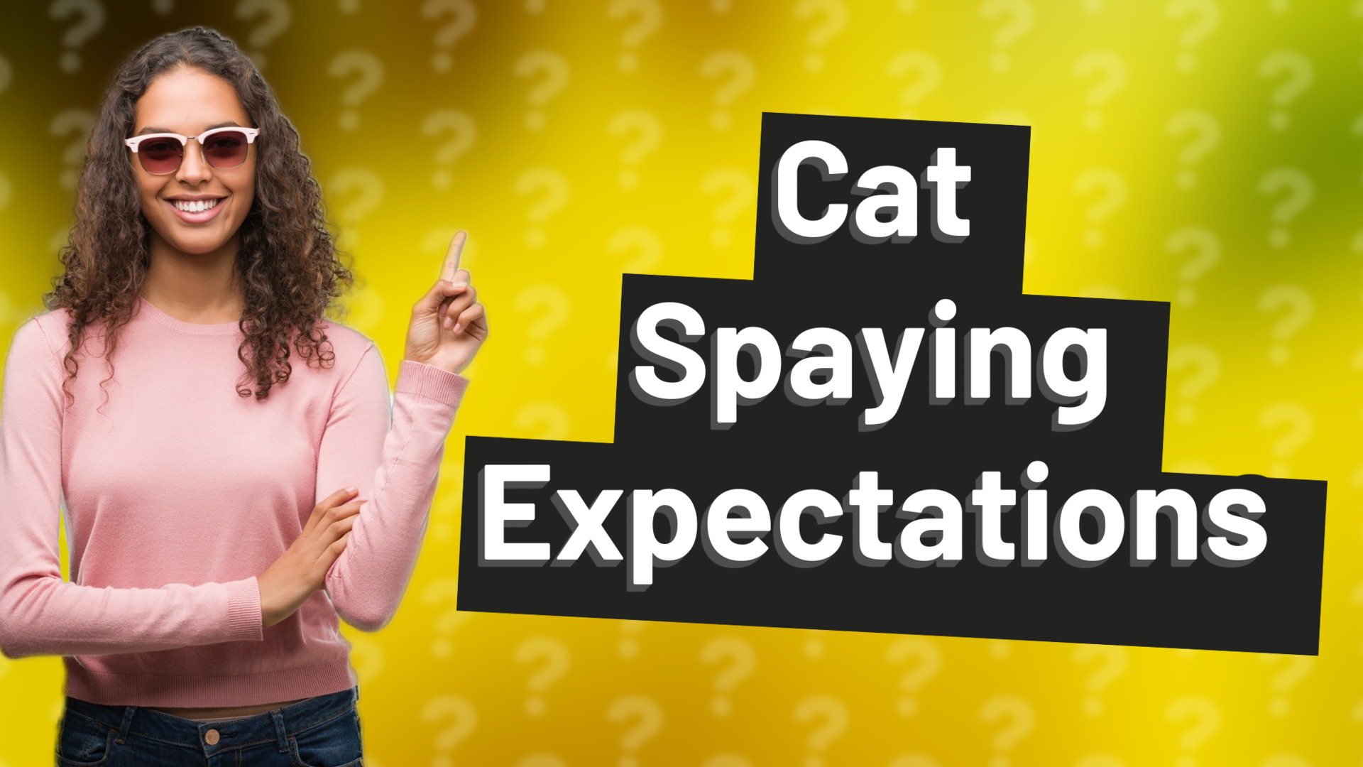 Cat Spaying Expectations