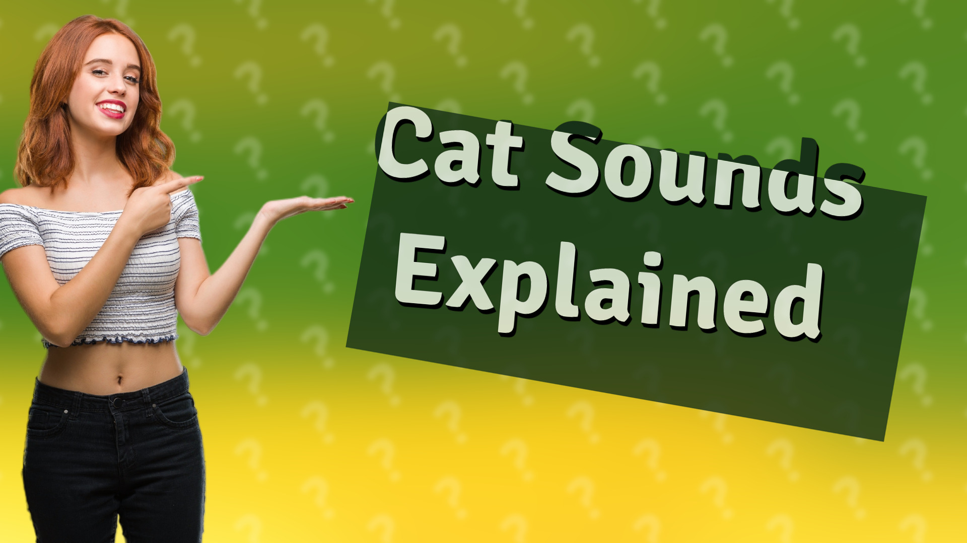 Cat Sounds Explained
