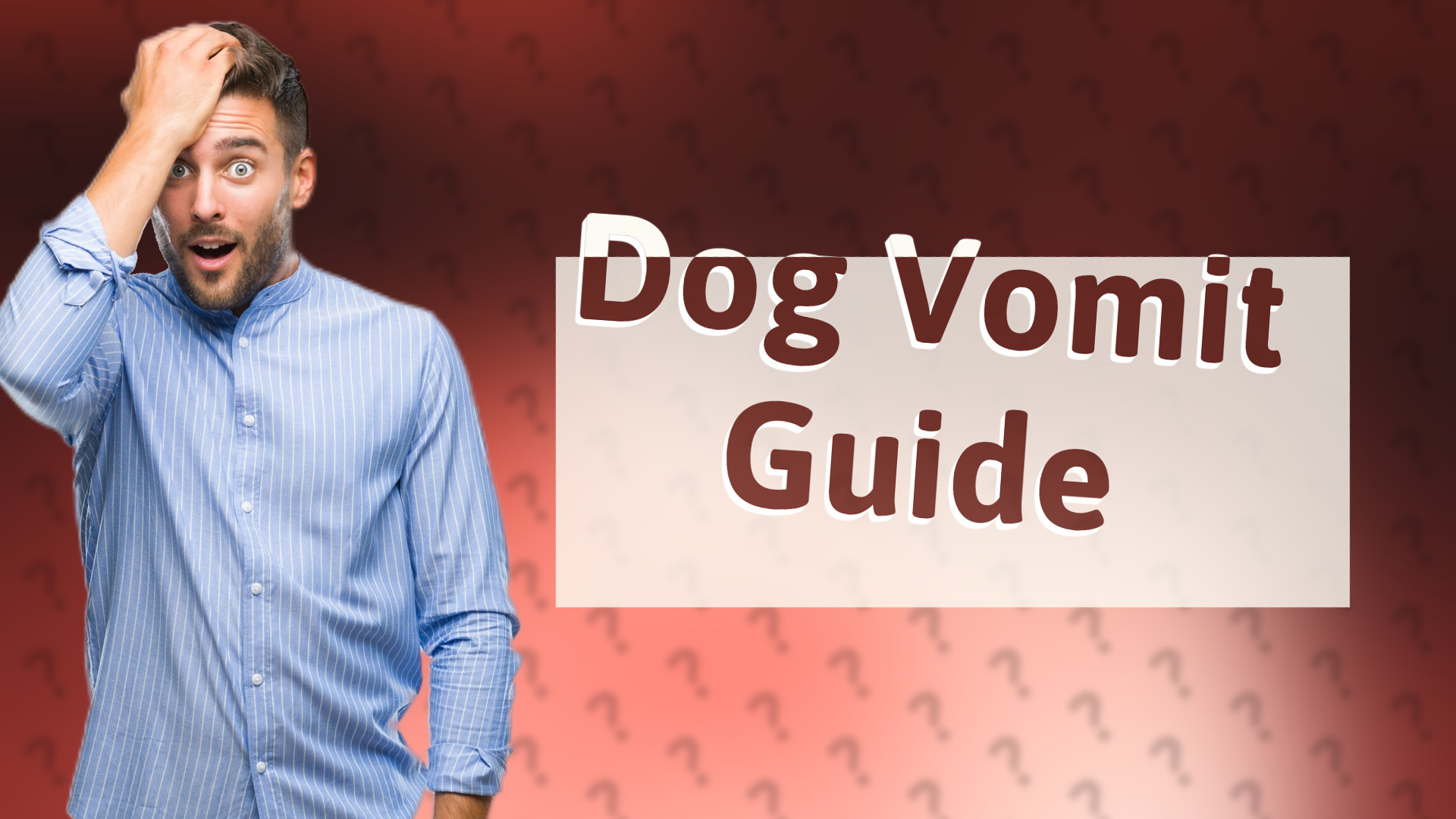 Dog Vomit Guide