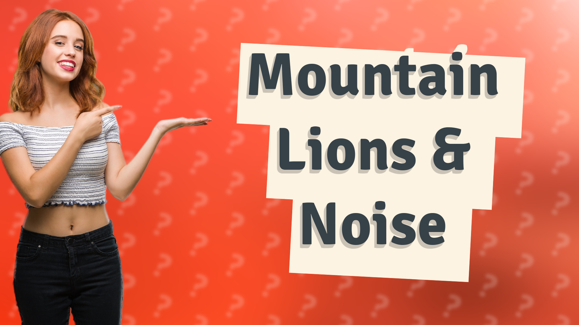 Mountain Lions & Noise