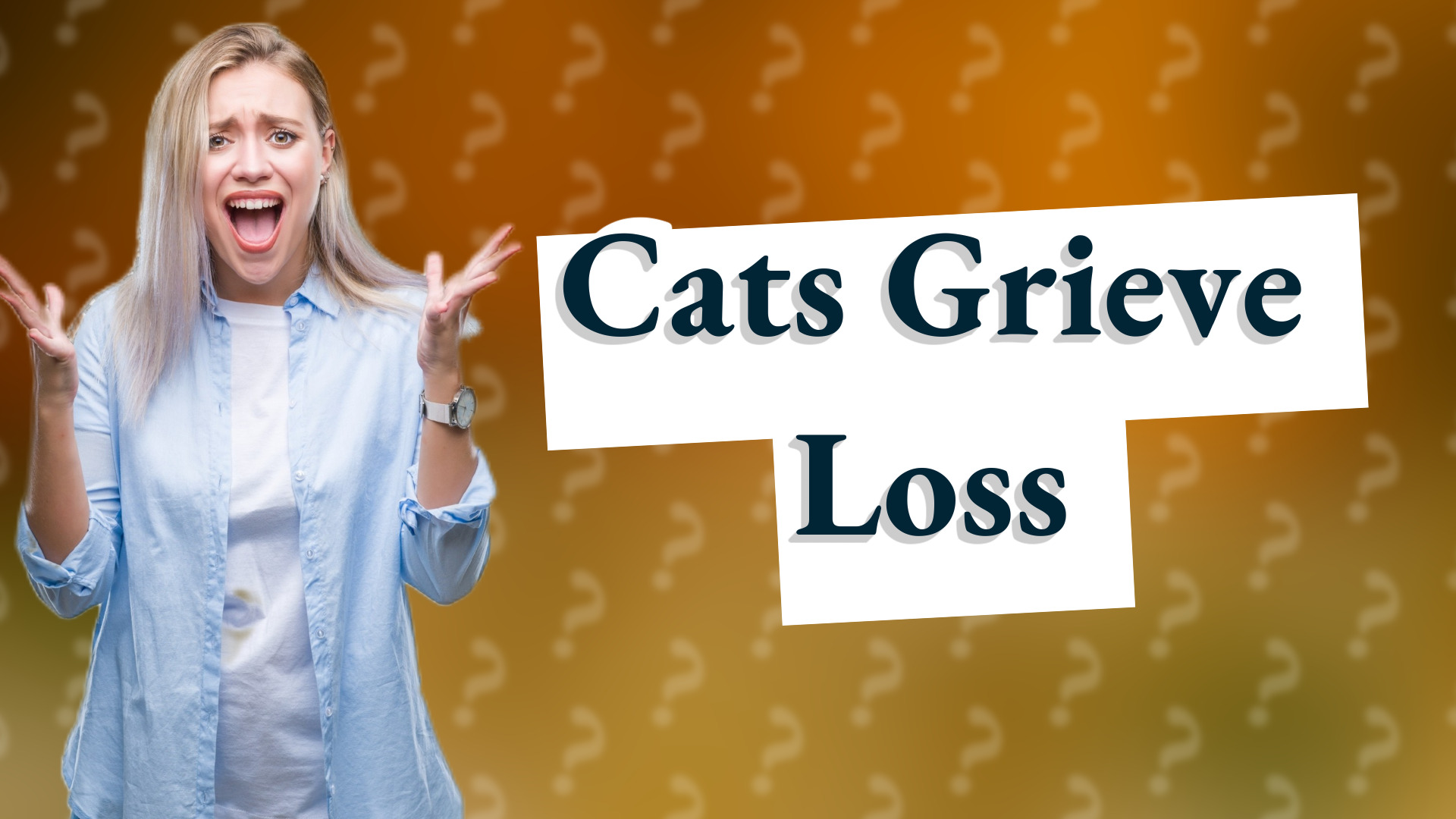 Cats Grieve Loss
