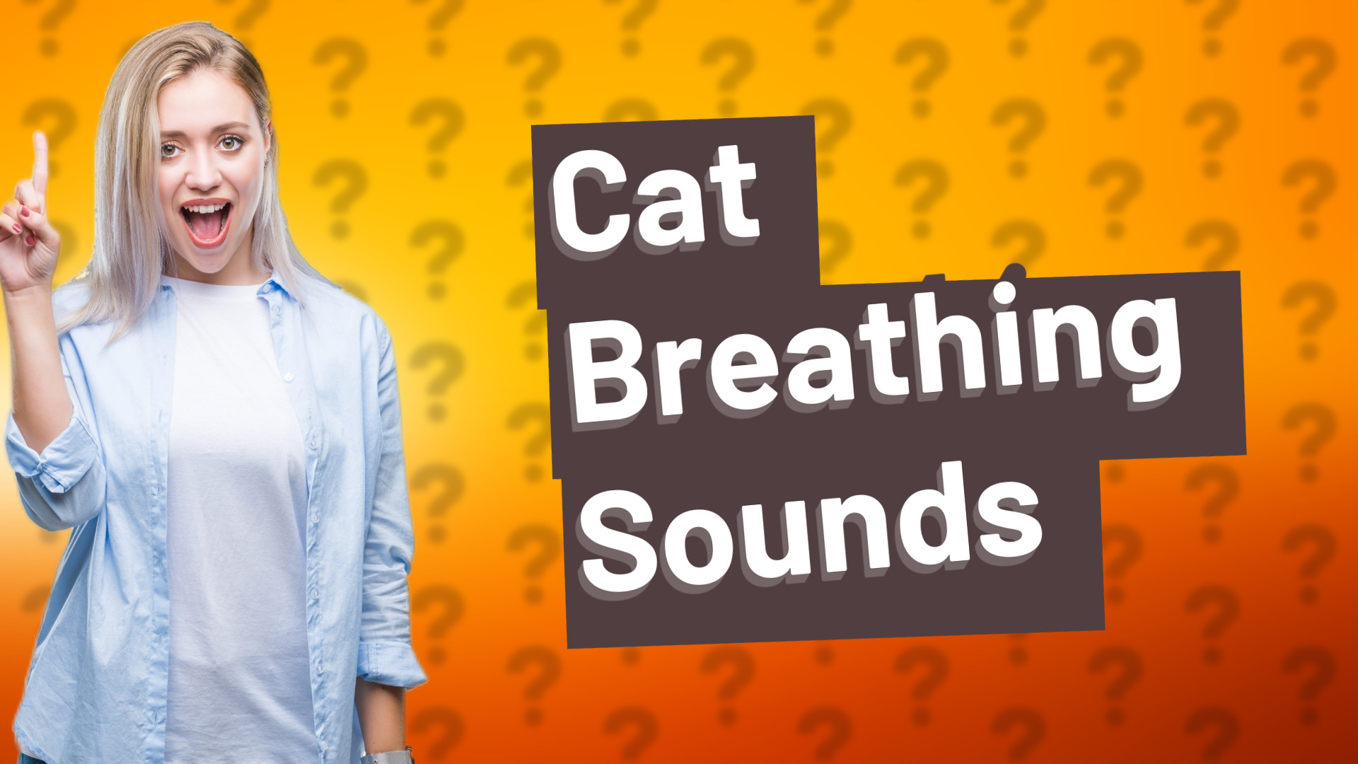 Cat Breathing Sounds