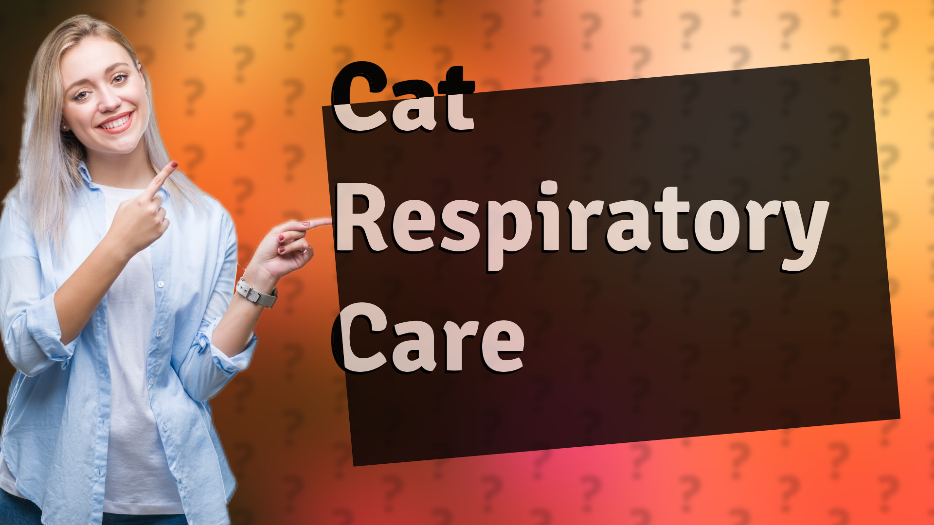 Cat Respiratory Care