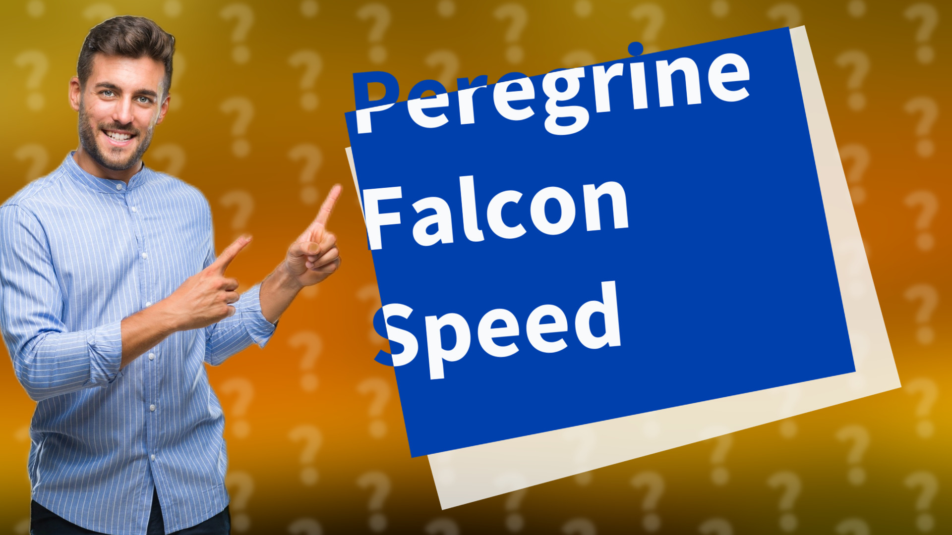 Peregrine Falcon Speed