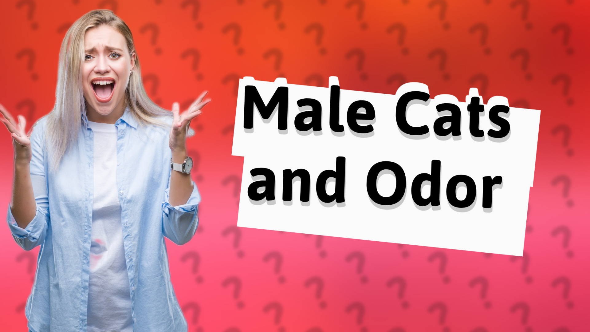 Male Cats and Odor