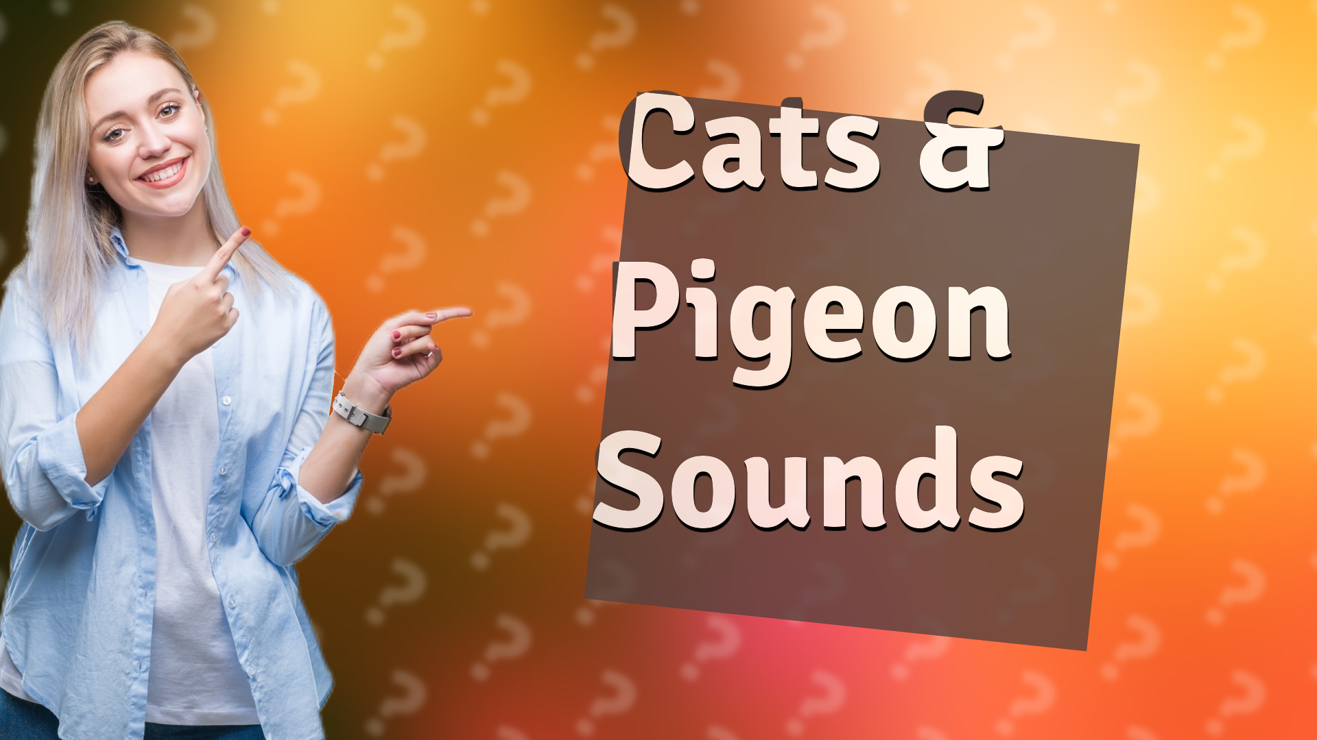 Cats & Pigeon Sounds