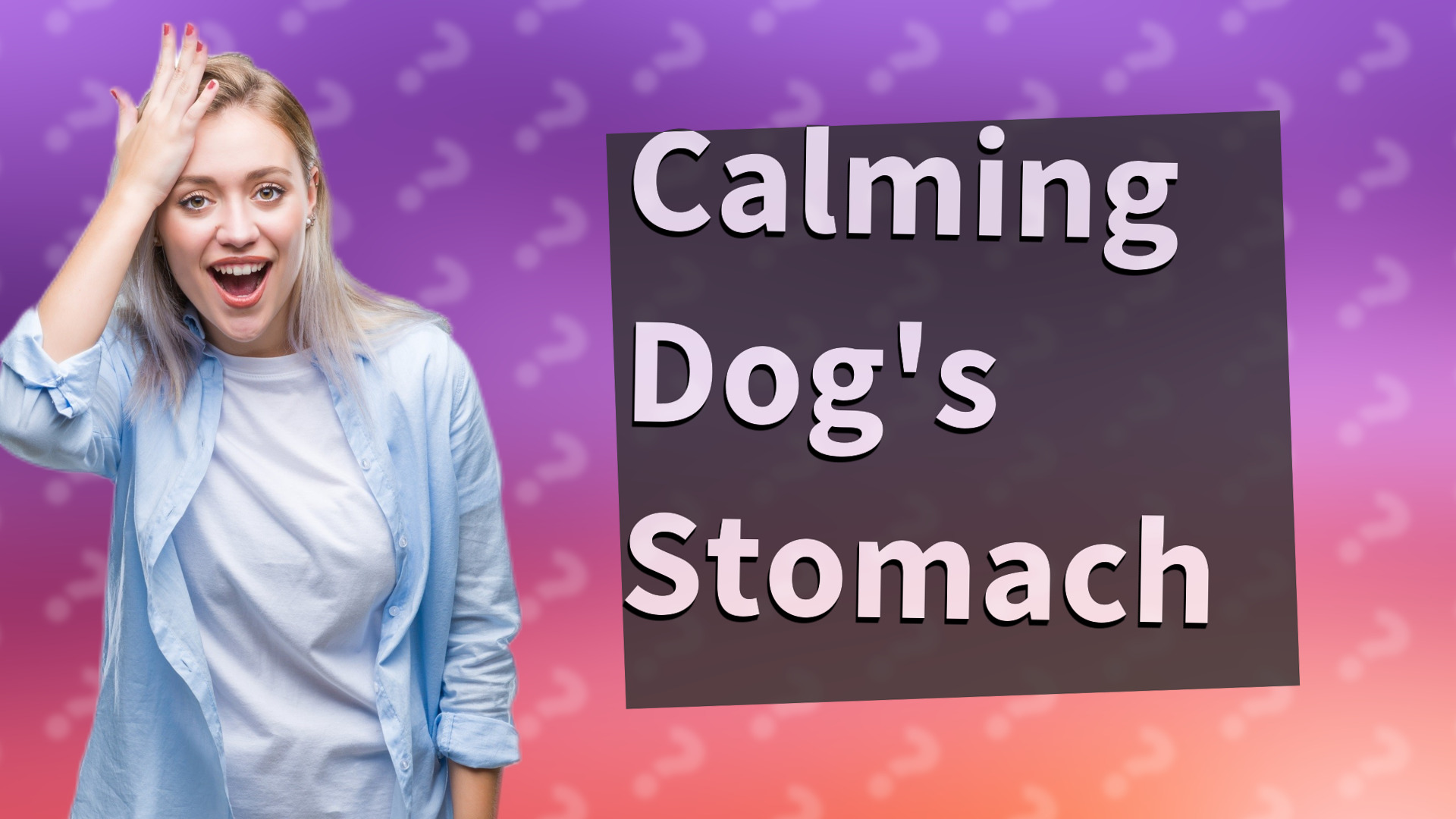Calming Dog's Stomach