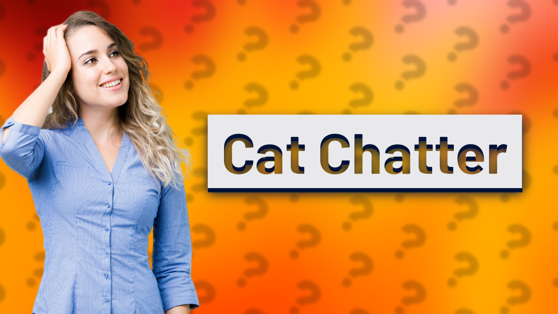 Cat Chatter