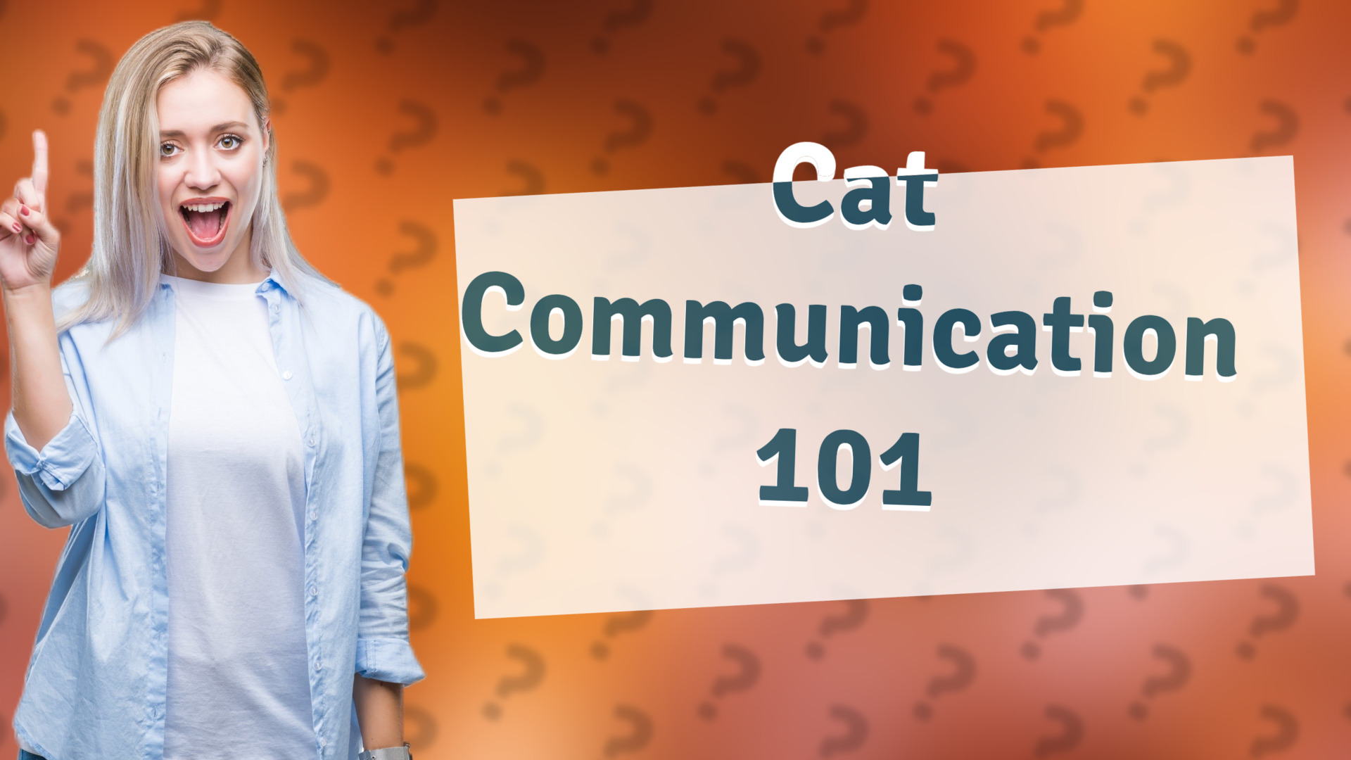 Cat Communication 101