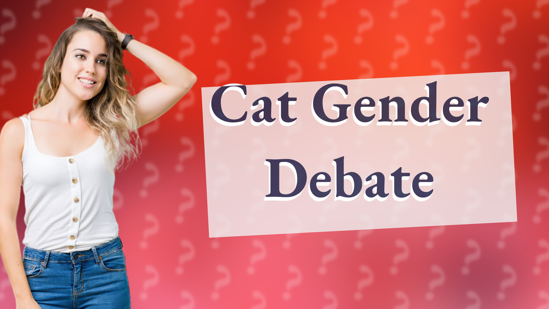 Cat Gender Debate