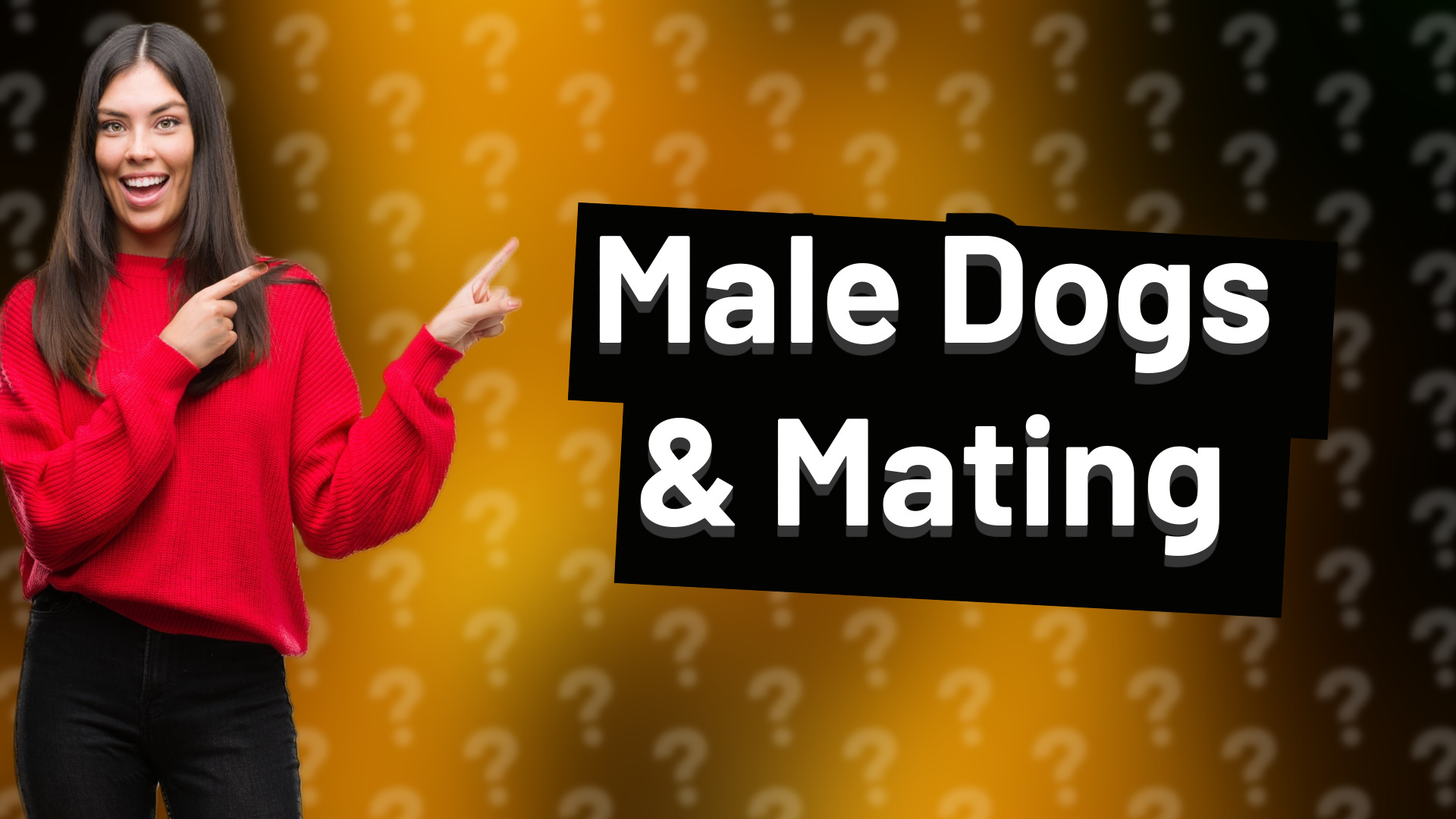 Male Dogs & Mating
