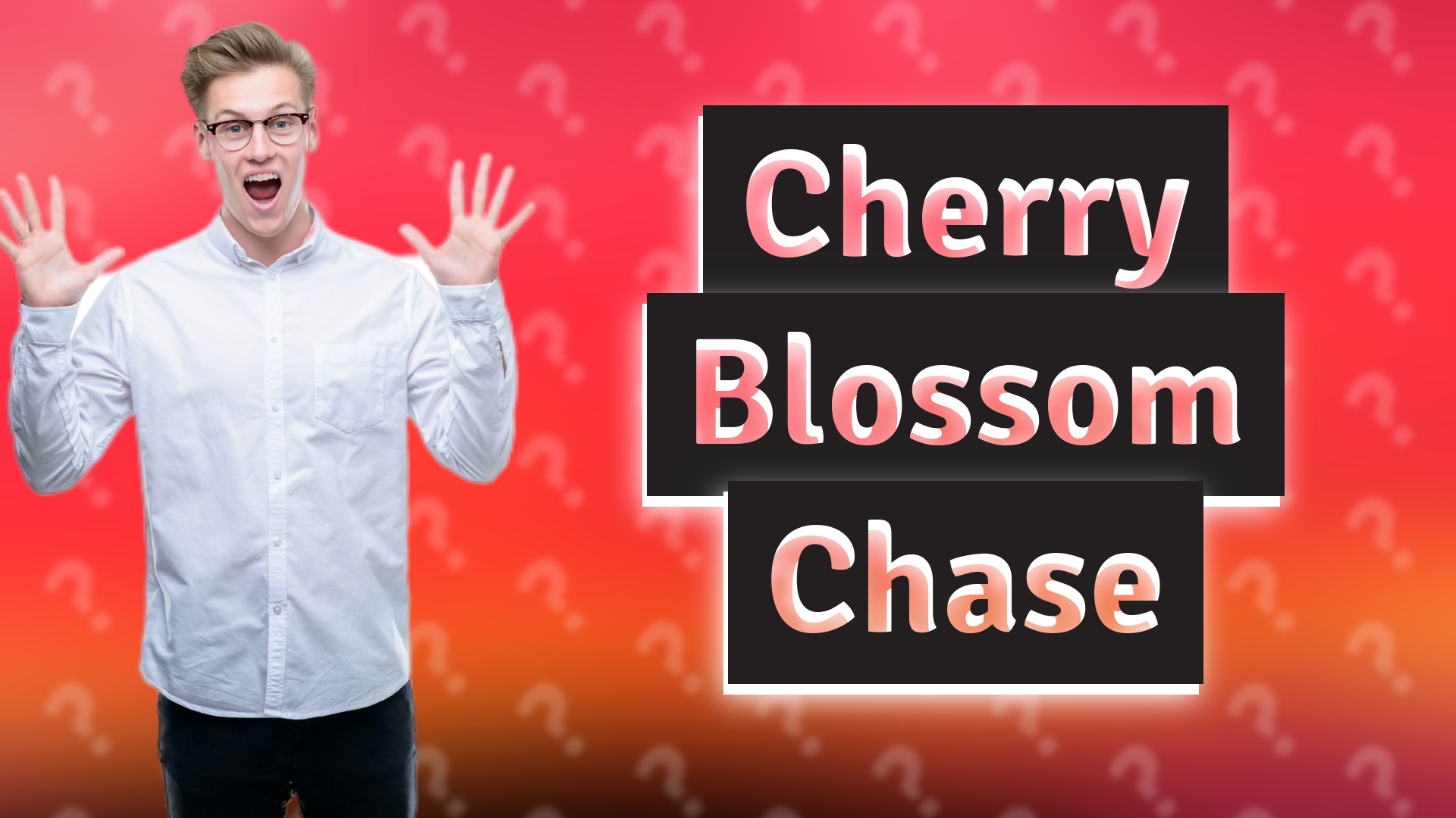 Cherry Blossom Chase