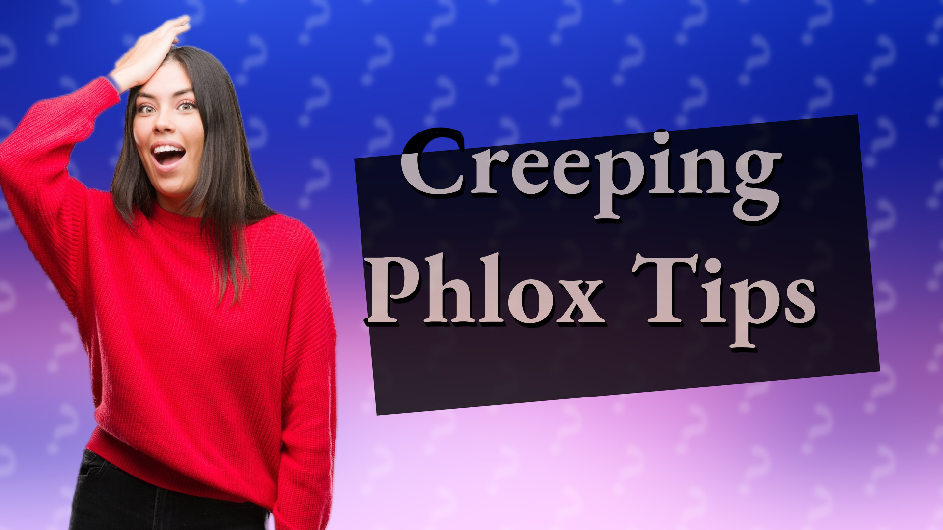 Creeping Phlox Tips