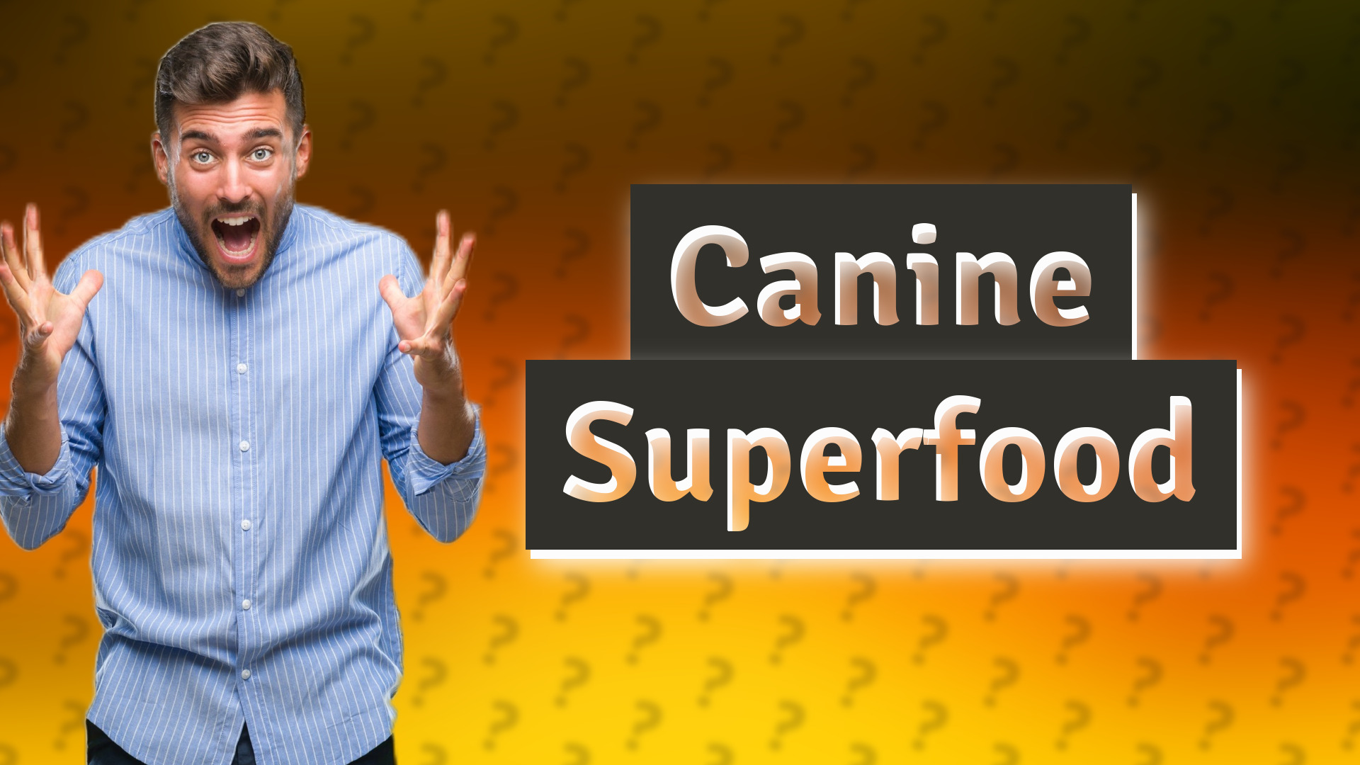 Canine Superfood