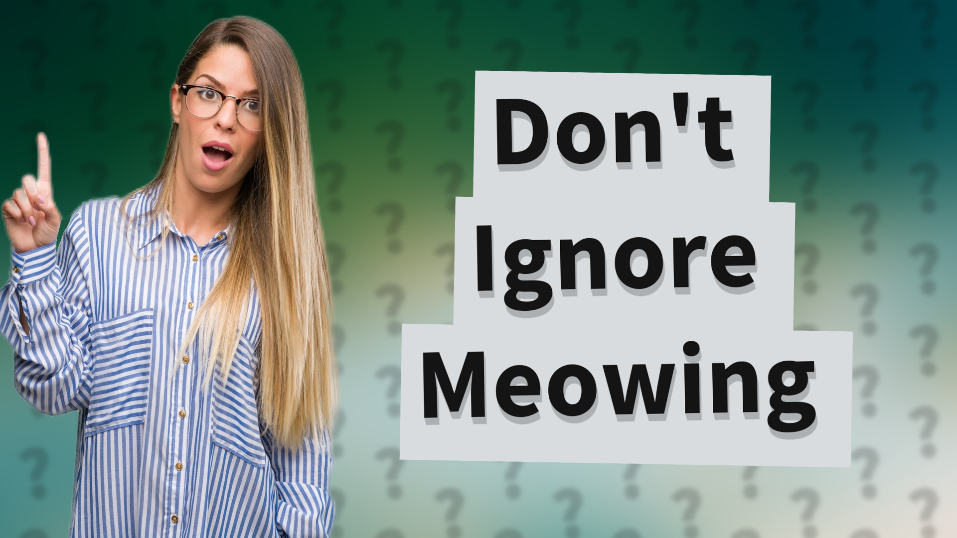 Don't Ignore Meowing