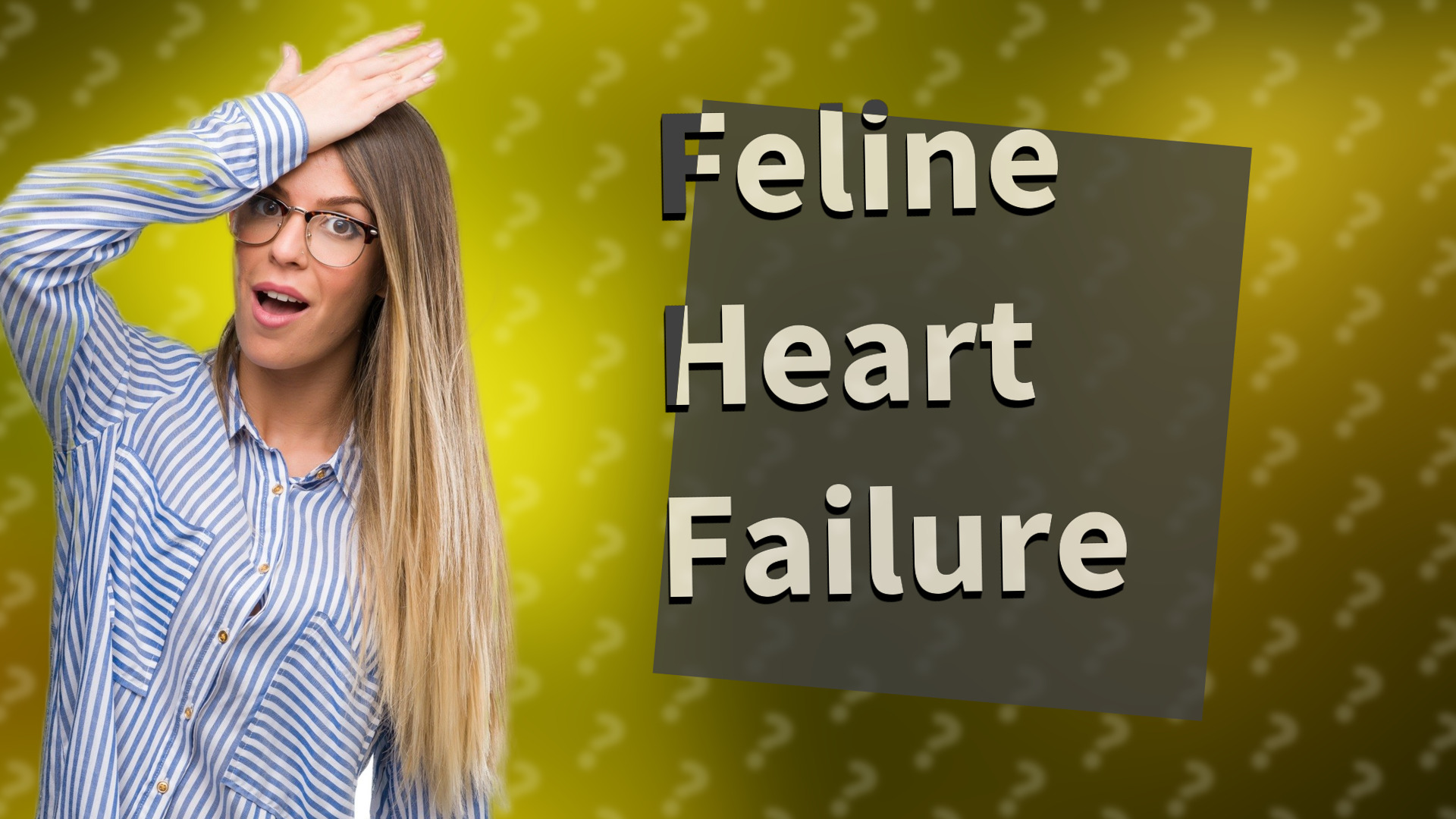 Feline Heart Failure